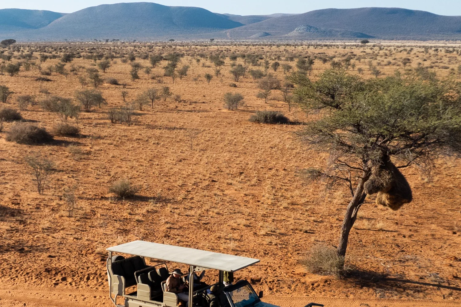 Guided safari vehicle crossing the Namib desert